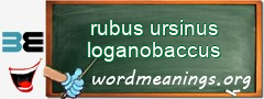 WordMeaning blackboard for rubus ursinus loganobaccus